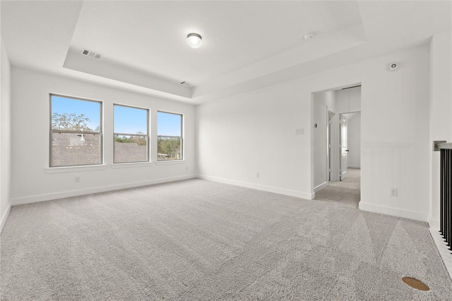 Representative image. Features, selections, and colors may vary.