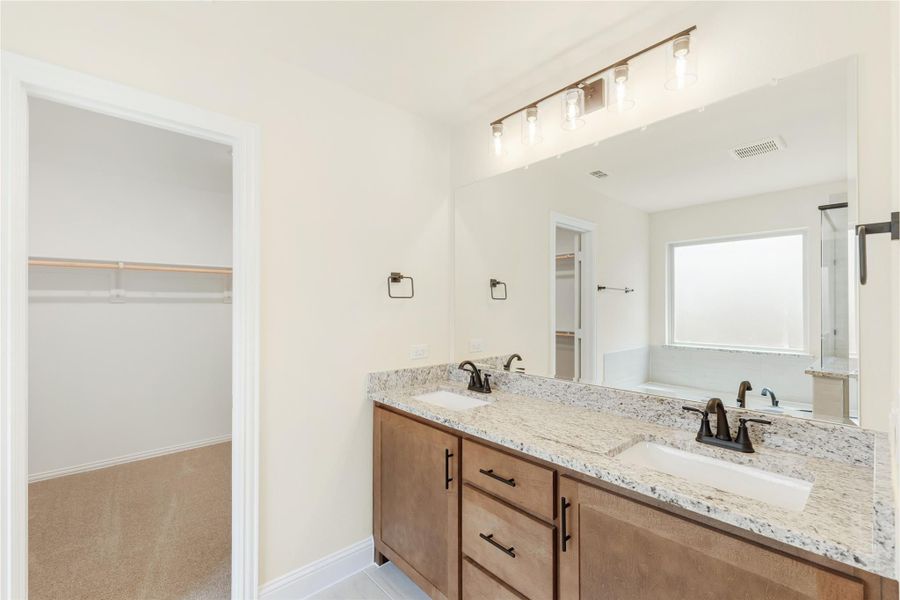 Bathroom with double sink vanity, granite countertop, wood cabinets, and walk-in closet entrance nearby. Bathroom with double sink vanity, granite countertop, wood cabinets, and walk-in closet entrance nearby.