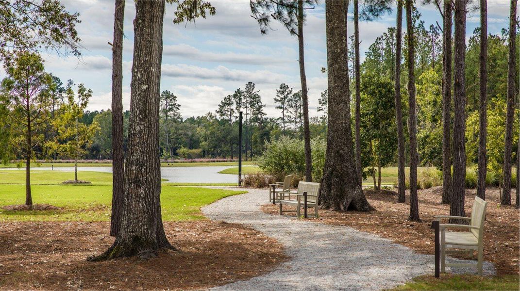 Natural landscape and outdoor views near  in Summerville (Image 21).