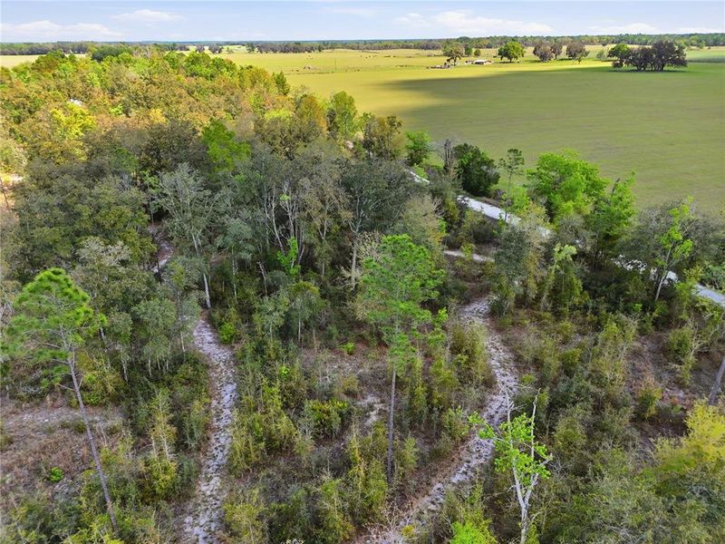 Natural landscape and outdoor views near  in Newberry (Image 37).