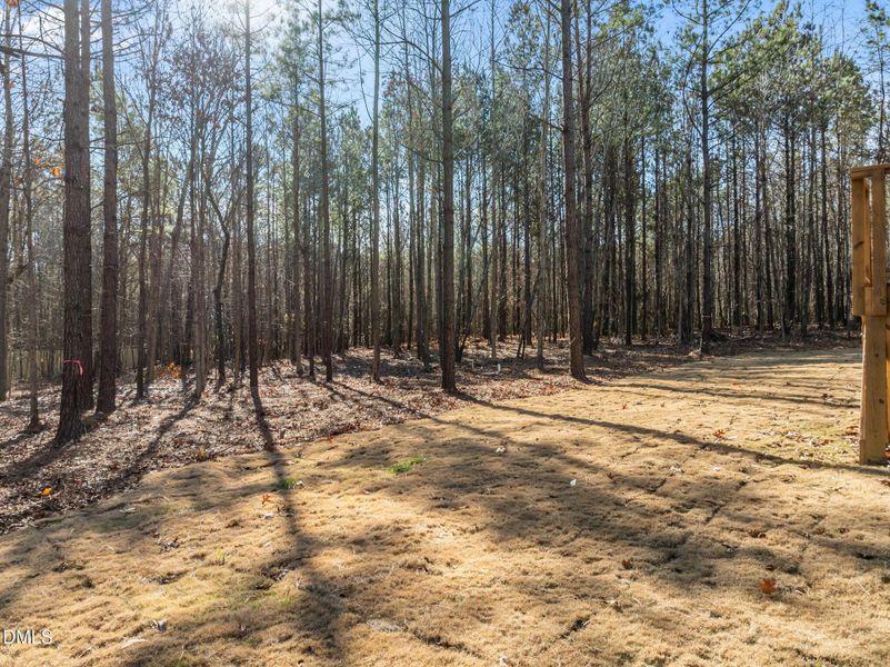 10-web-or-mls-DJI_0876