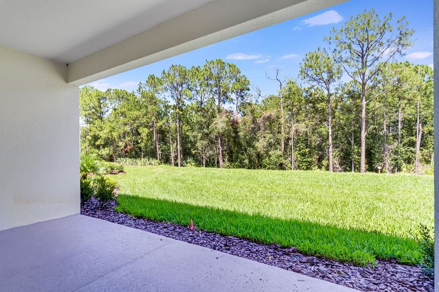 Image 32 representing the Letizia by Taylor Morrison in Esplanade at Center Lake Ranch, St. Cloud, FL.