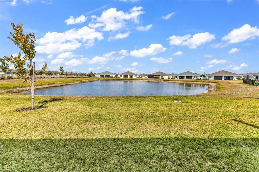 Natural landscape and outdoor views near in Port Charlotte (Image 38). Natural landscape and outdoor views near in Port Charlotte (Image 38).