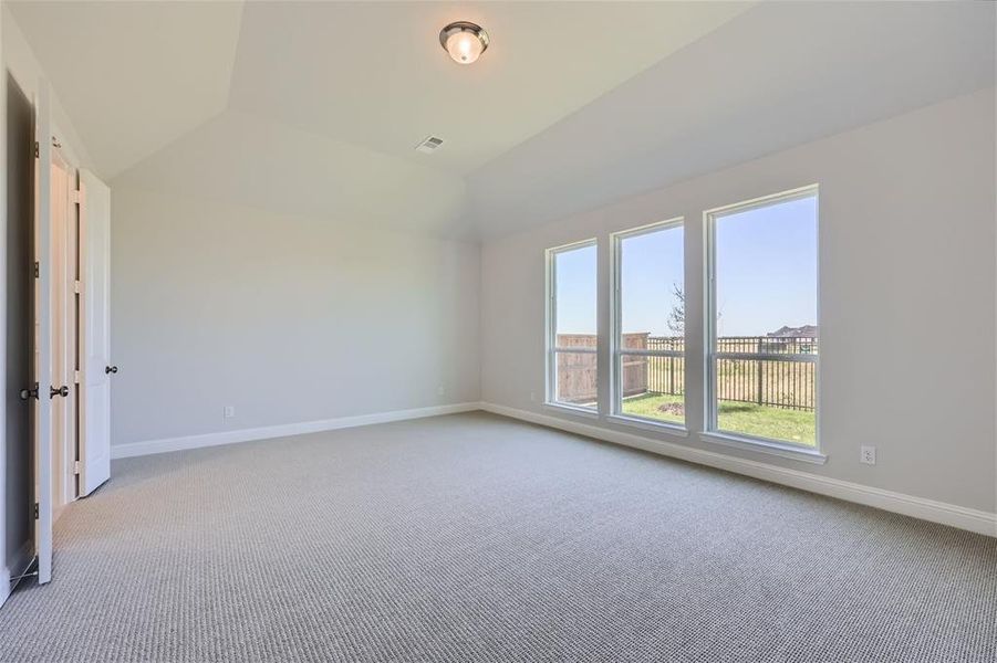 Unfurnished room featuring carpet and vaulted ceiling