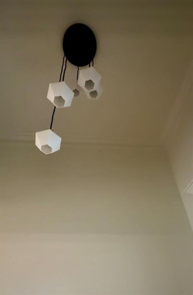 Designer fixtures