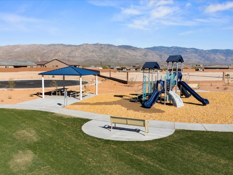 Community amenities in Alamar at Rocking K, Tucson (Image 17).