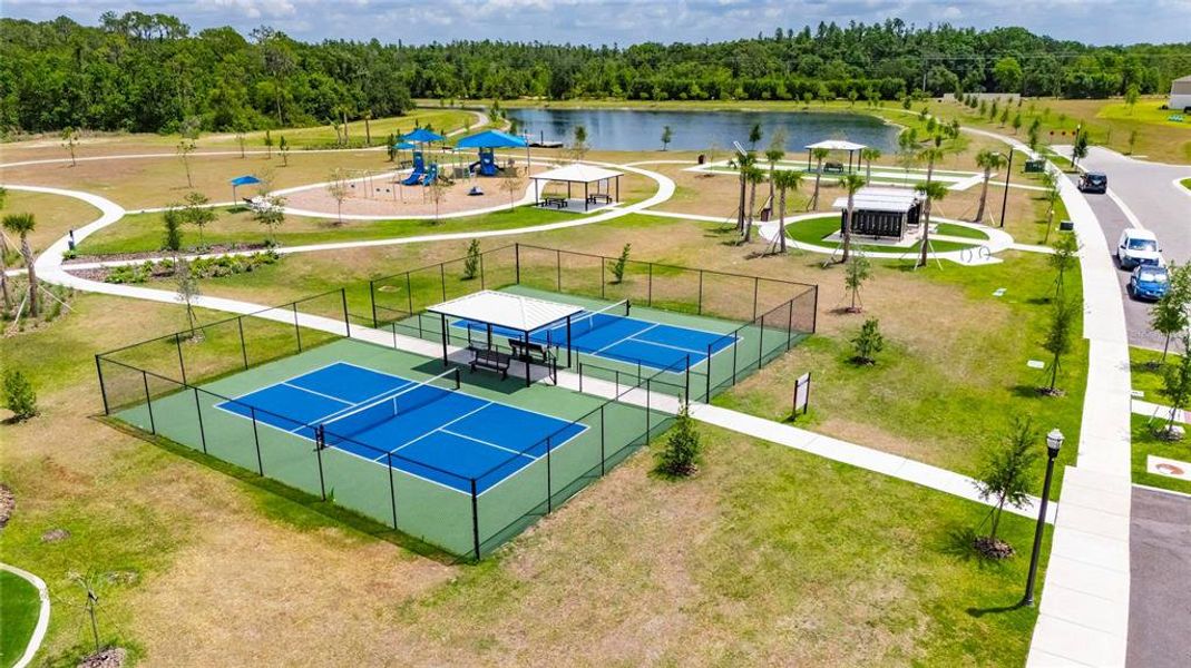 Community amenities in Hawkstone, Lithia (Image 50).