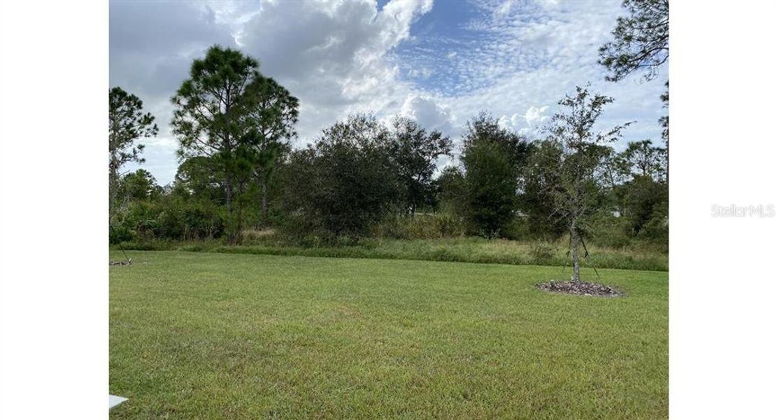 Natural landscape and outdoor views near  in North Port (Image 16).