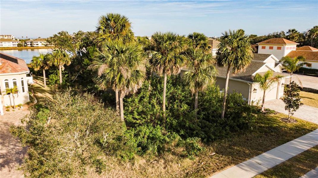 Natural landscape and outdoor views near in Palm Coast (Image 34). Natural landscape and outdoor views near in Palm Coast (Image 34).