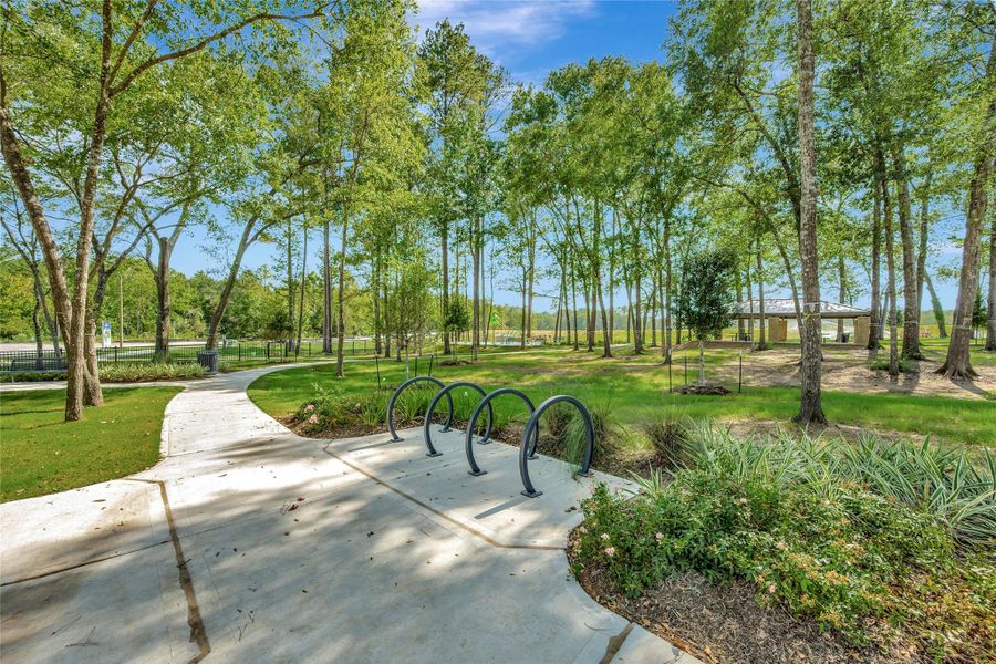Natural landscape and outdoor views near Pine Lake Cove - Premier Series in Montgomery (Image 12).