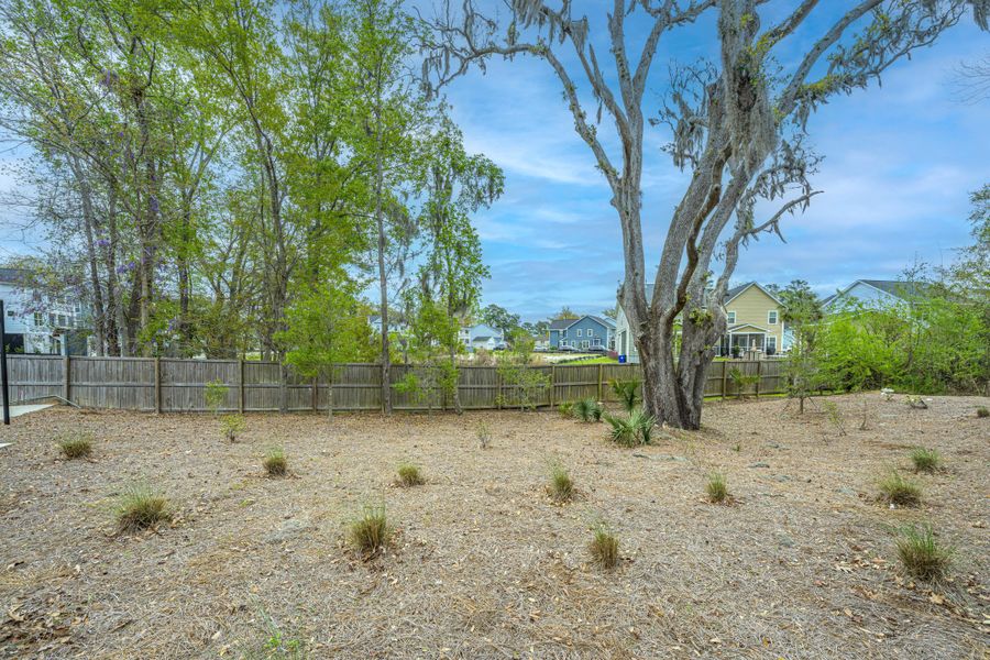 Natural landscape and outdoor views near  in Charleston (Image 29).