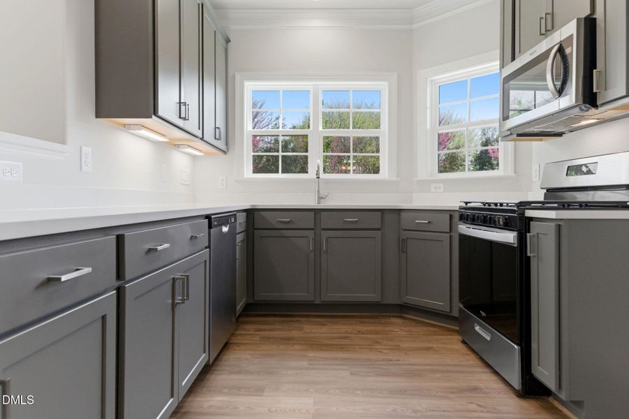 5-web-or-mls-DSC05670