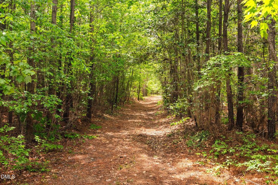 22-web-or-mls-s-plank-rd 22-web-or-mls-s-plank-rd