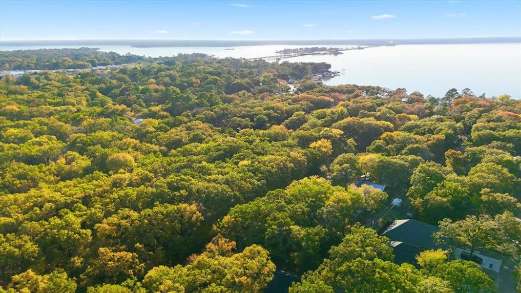 Natural landscape and outdoor views near  in Gun Barrel City (Image 29).