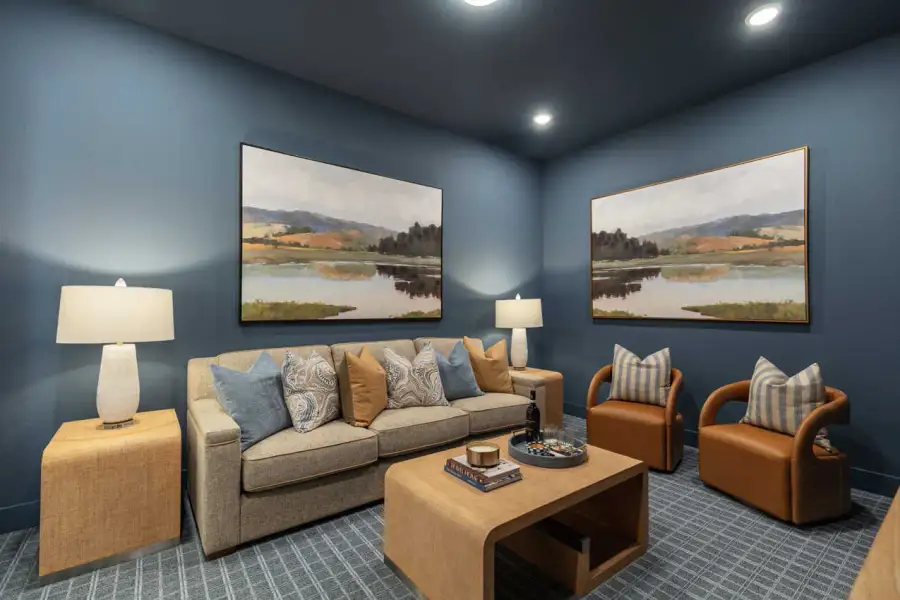 Entertainment Room