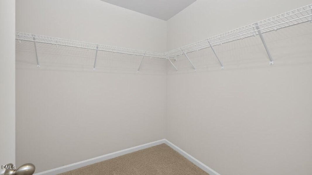 5525 Musket Ct - Raleigh-18