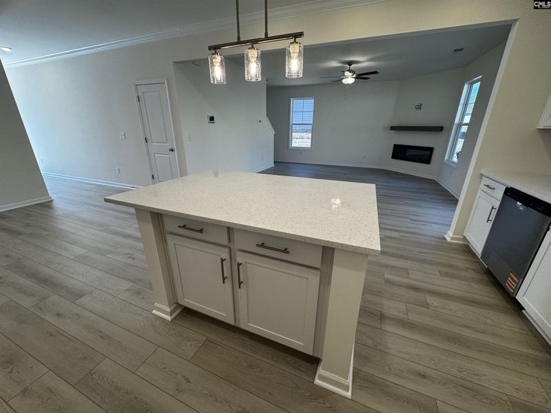 Furnished interior view inside a new home in Boykin Hills, Chapin (Image 7). Furnished interior view inside a new home in Boykin Hills, Chapin (Image 7).