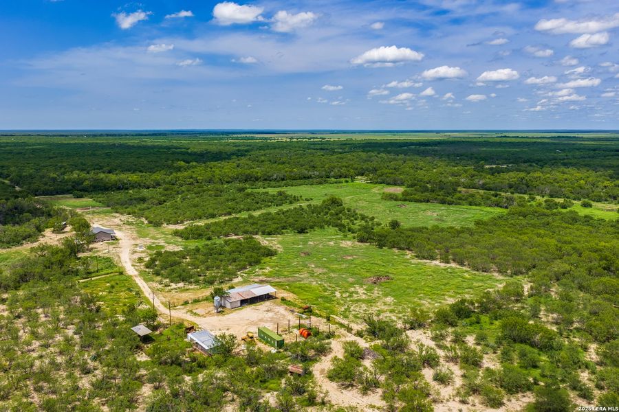 Natural landscape and outdoor views near  in Crystal City (Image 45).