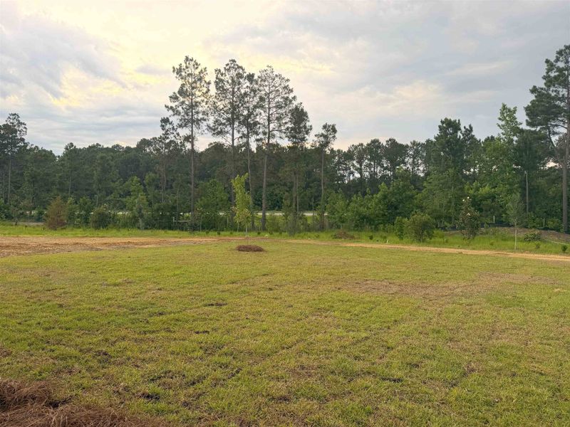 Natural landscape and outdoor views near Westfield in Conway (Image 25).