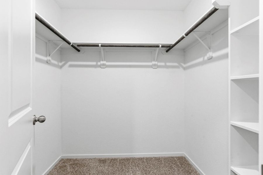 representative photo