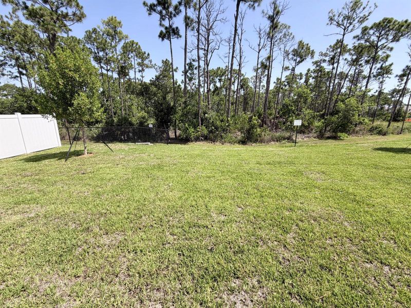 Lot 17 backyard Lot 17 backyard