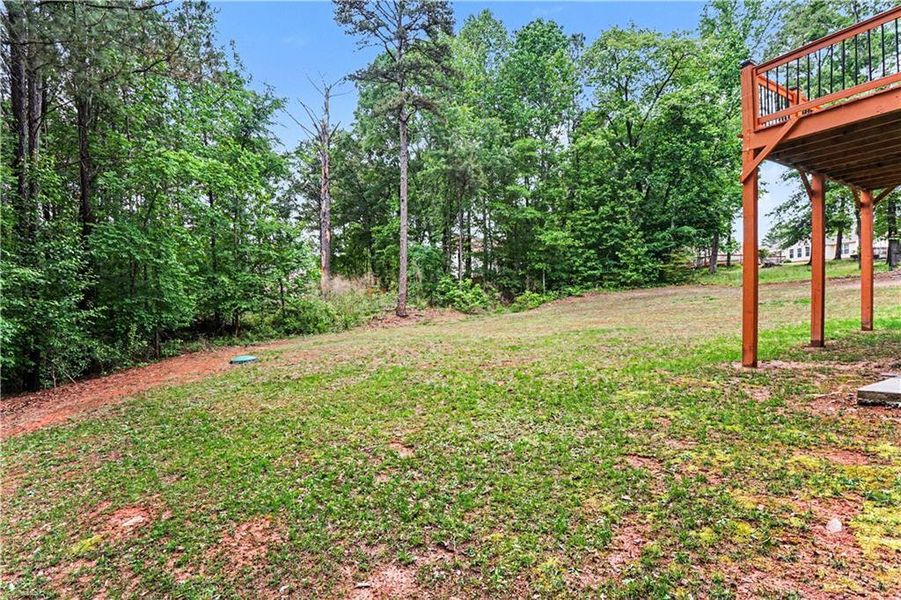 Natural landscape and outdoor views near  in Loganville (Image 53).