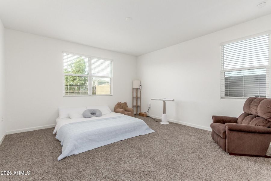 16 Shanley 16 Shanley