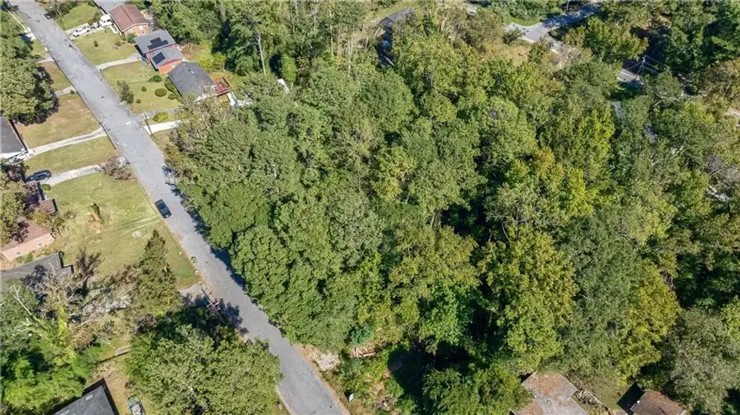 Natural landscape and outdoor views near  in Hapeville (Image 43).