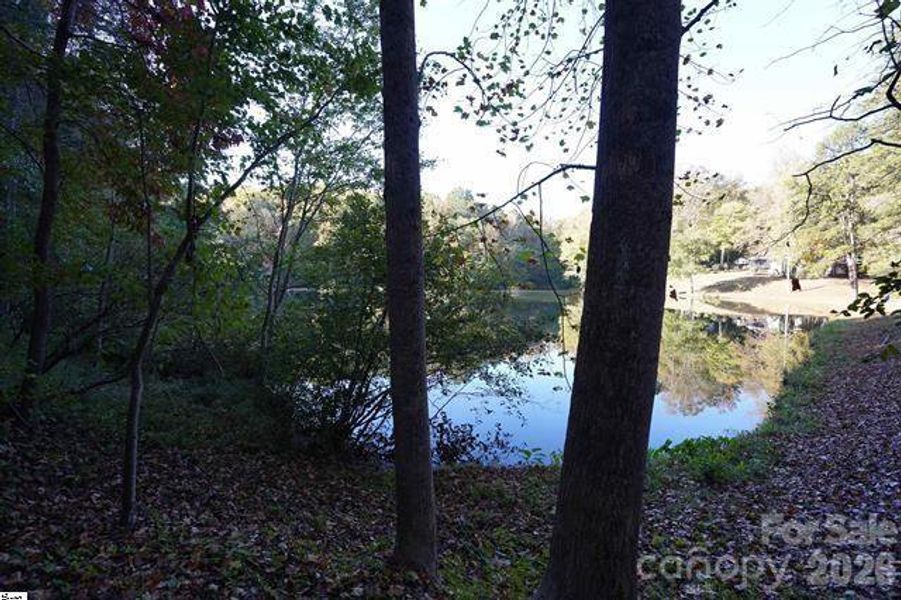 Natural landscape and outdoor views near  in Travelers Rest (Image 44).
