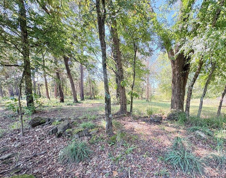 Natural landscape and outdoor views near  in Canton (Image 15).