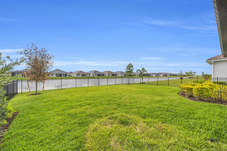 Fenced Backyard