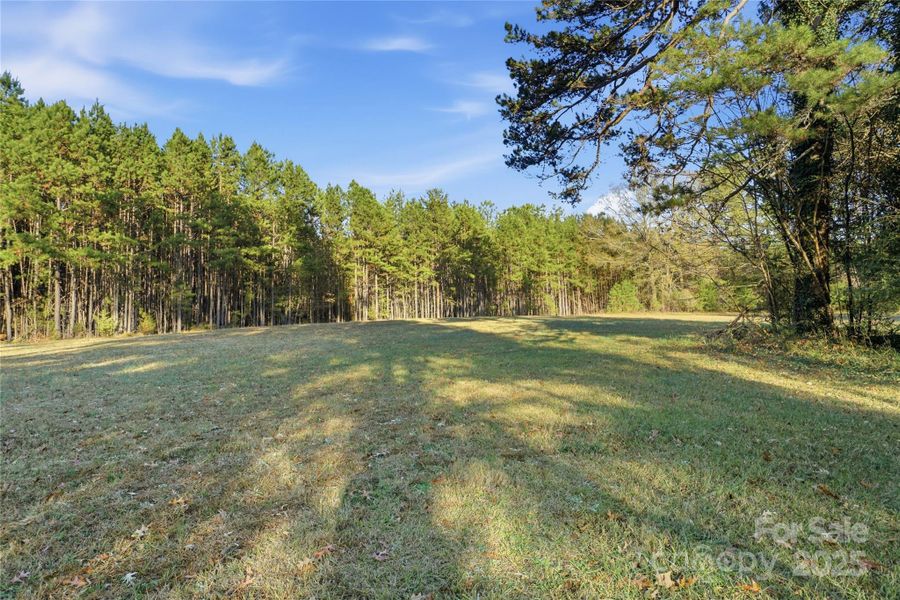 Another view of the topography of the vacant lot to picture your Future Home Another view of the topography of the vacant lot to picture your Future Home