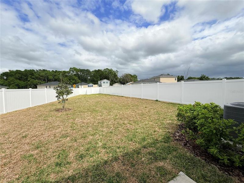 Natural landscape and outdoor views near  in Ocala (Image 39).