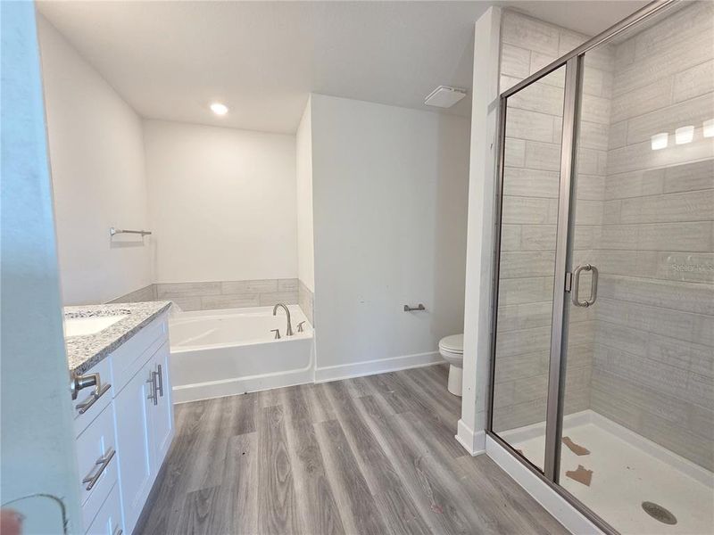 Furnished interior view inside a new home in The Preserve at Laurel Lake, Lake City (Image 8).