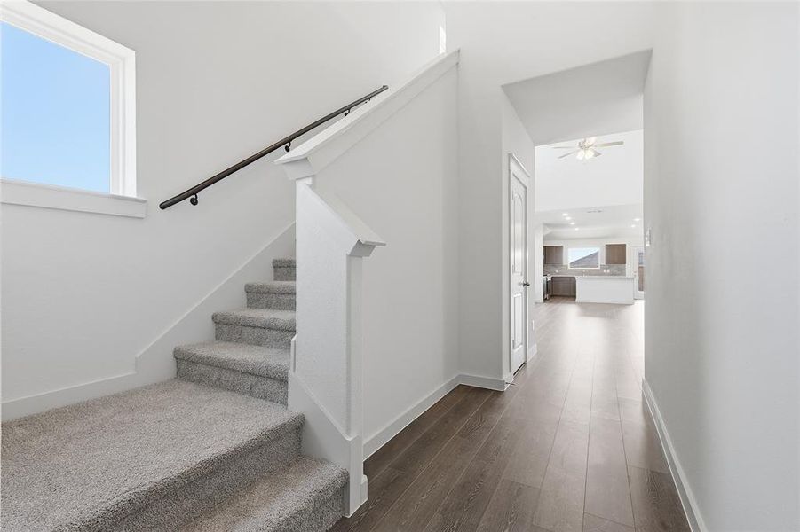 Stairs with wood finished floors and ceiling fan Stairs with wood finished floors and ceiling fan