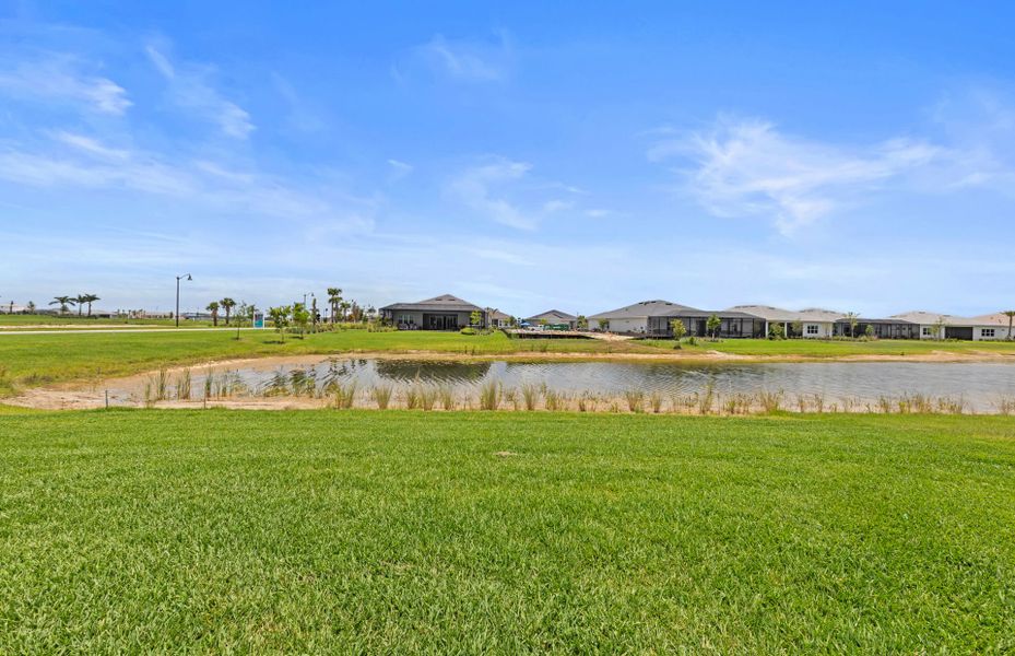 View from rear exterior of home