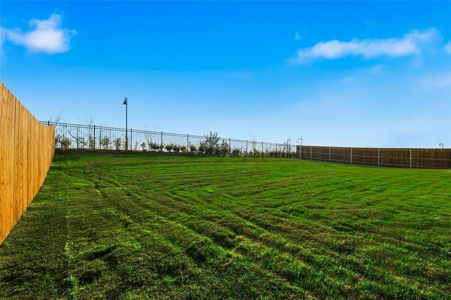 View of yard View of yard