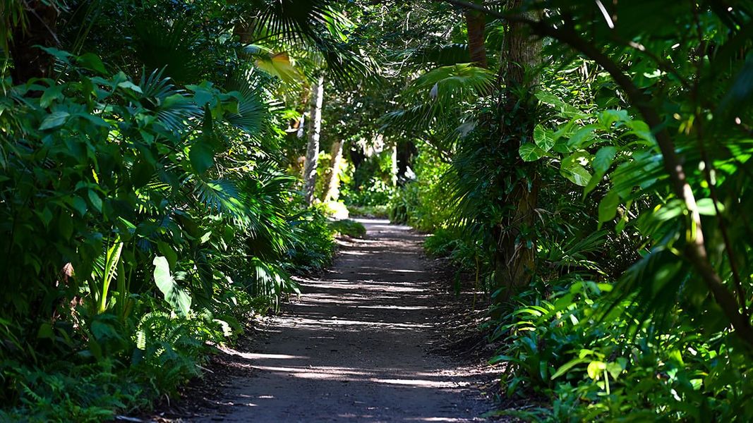 Natural landscape and outdoor views near Veranda Oaks in Port St. Lucie (Image 88).