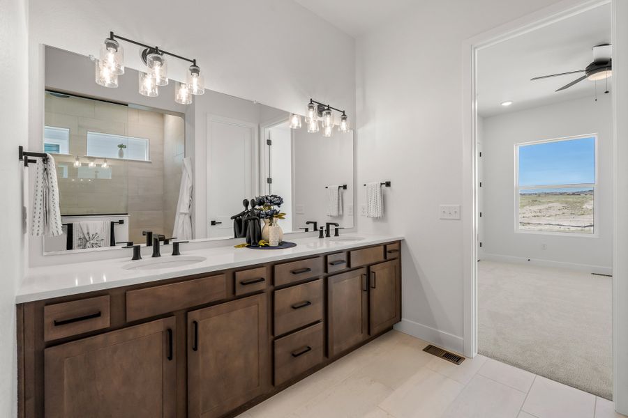 Owner's Bath