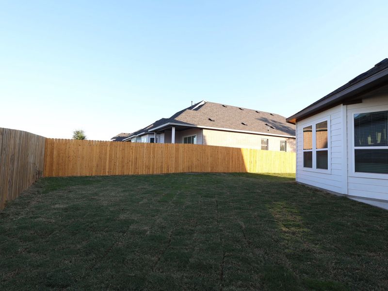 Backyard
