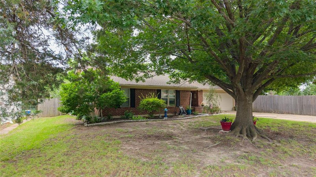 Ranch-style home with a brick facade and a prominent mature tree Ranch-style home with a brick facade and a prominent mature tree