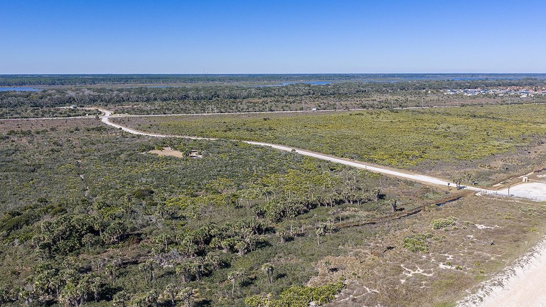 Natural landscape and outdoor views near Colbert Landings in Palm Coast (Image 87).