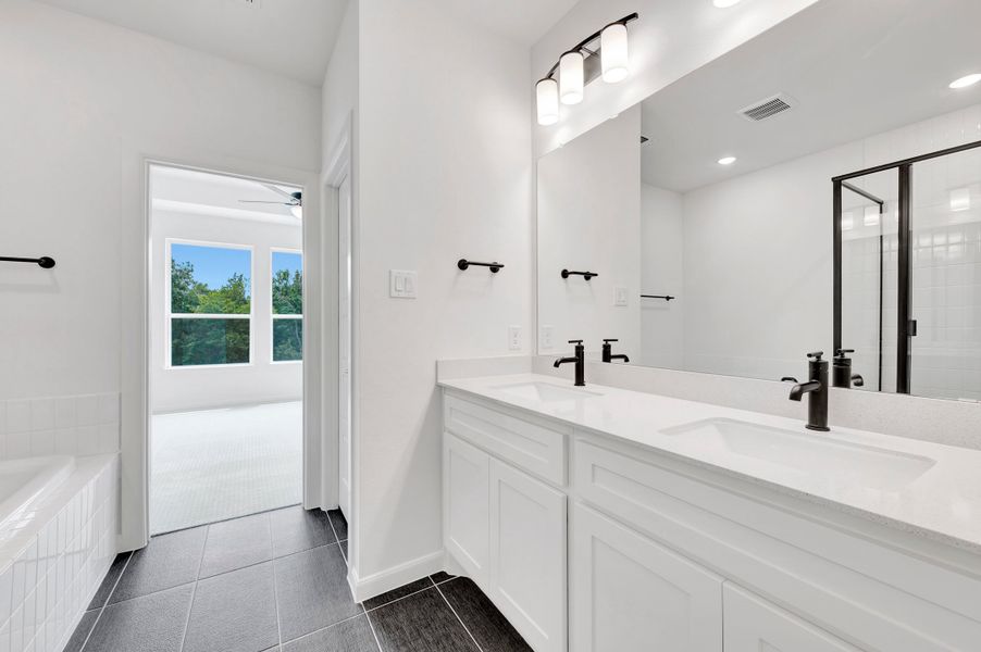 Owner's Bath