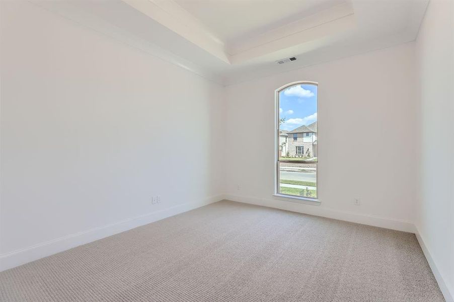 Carpeted empty room featuring a raised ceiling