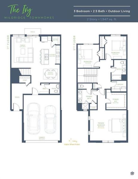 Ivy_ VS_2571_6.27.25 nonbranded_Page_1