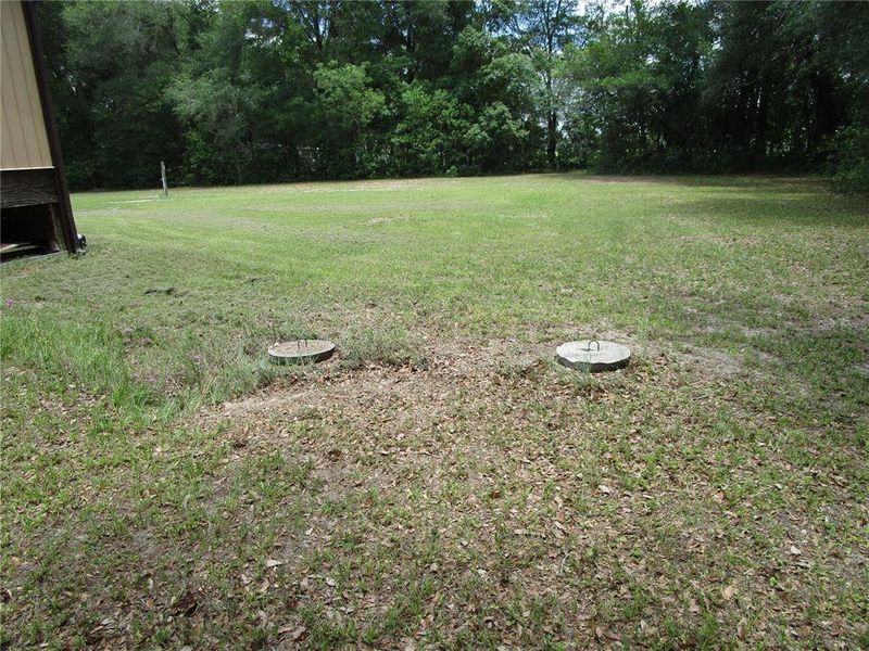 Natural landscape and outdoor views near  in Dade City (Image 32).
