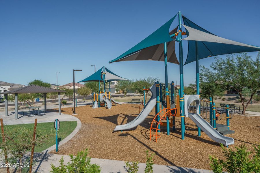 C) COMMUNITY C) COMMUNITY