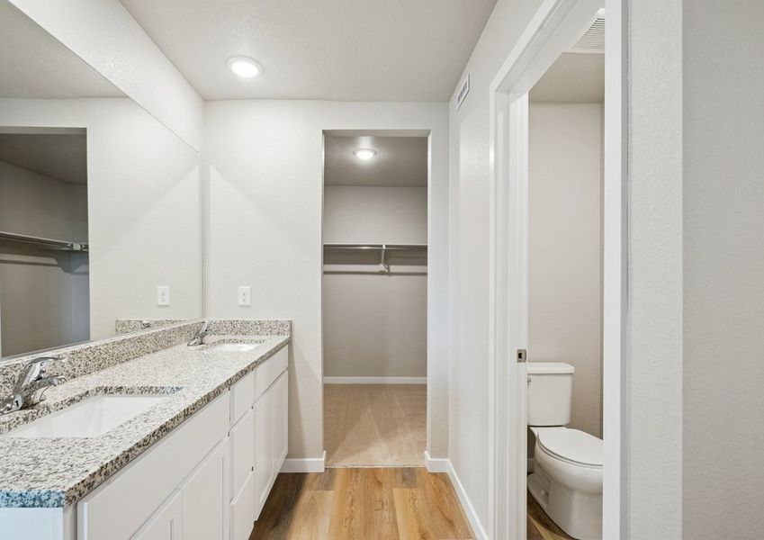 The master bathroom has a dual sink vanity and walk in closet.