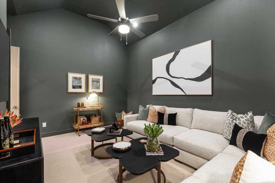 Entertainment Room