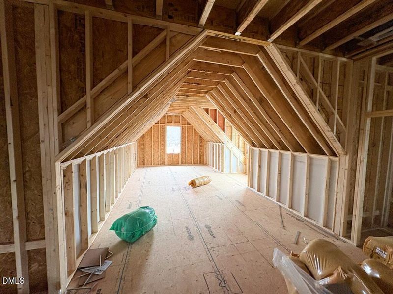 Photo Feb 04 2026, 10 40 25 AM (Medium)